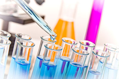 美迪西生物实验 美迪西生物实验