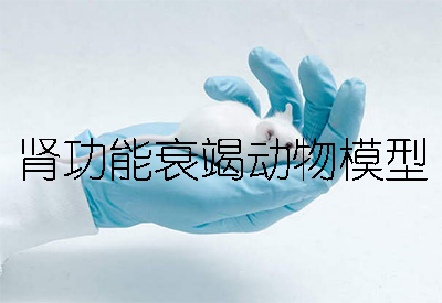 慢性肾功能衰竭(CRF)动物模型：物理/化学/生物三大造模方法详解
