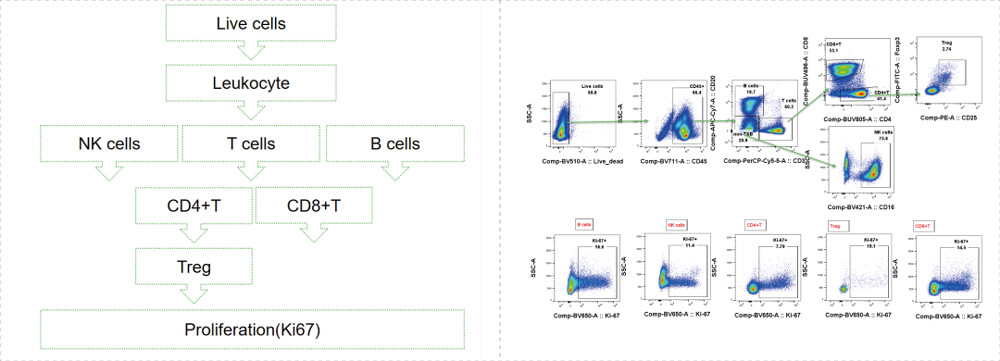 Data-shown-was-Cyno-T-B-NK-Panel_monkey-Blood.jpg Data-shown-was-Cyno-T-B-NK-Panel_monkey-Blood.jpg