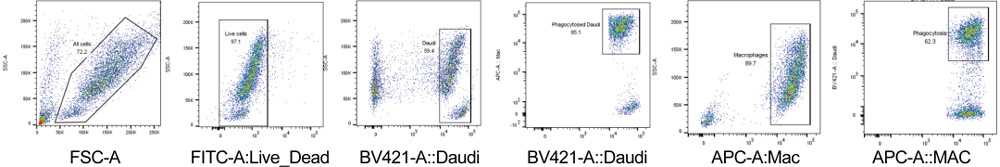 Data-shown-was-ADCP-PBMC.jpg Data-shown-was-ADCP-PBMC.jpg