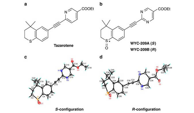 WYC-209可抑制恶性小鼠黑色素瘤肿瘤再生细胞增殖，本研究中SPR通过美迪西使用Biacore 8K进行
