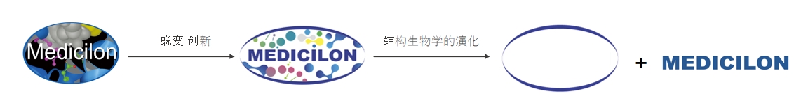 椭圆形作为自然界的完美形态,象征着美迪西在适应环境变化中不断演化 椭圆形作为自然界的完美形态,象征着美迪西在适应环境变化中不断演化